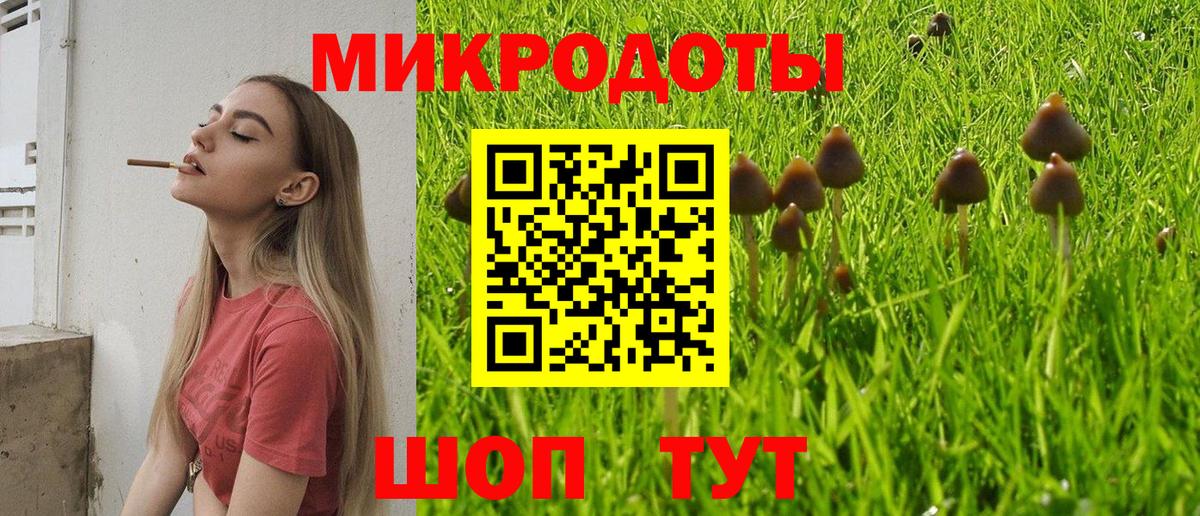 Галлюциногенные грибы Psilocybine cubensis  Псилоцибиновые грибы прущие грибы  Вход с VPN  Кудымкар 