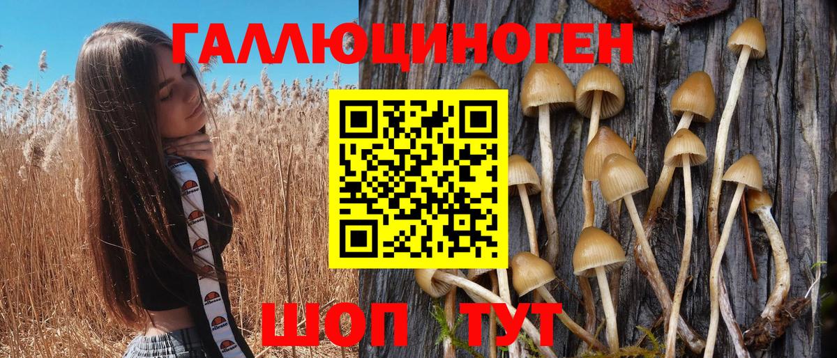 Псилоцибиновые грибы Cubensis Кудымкар